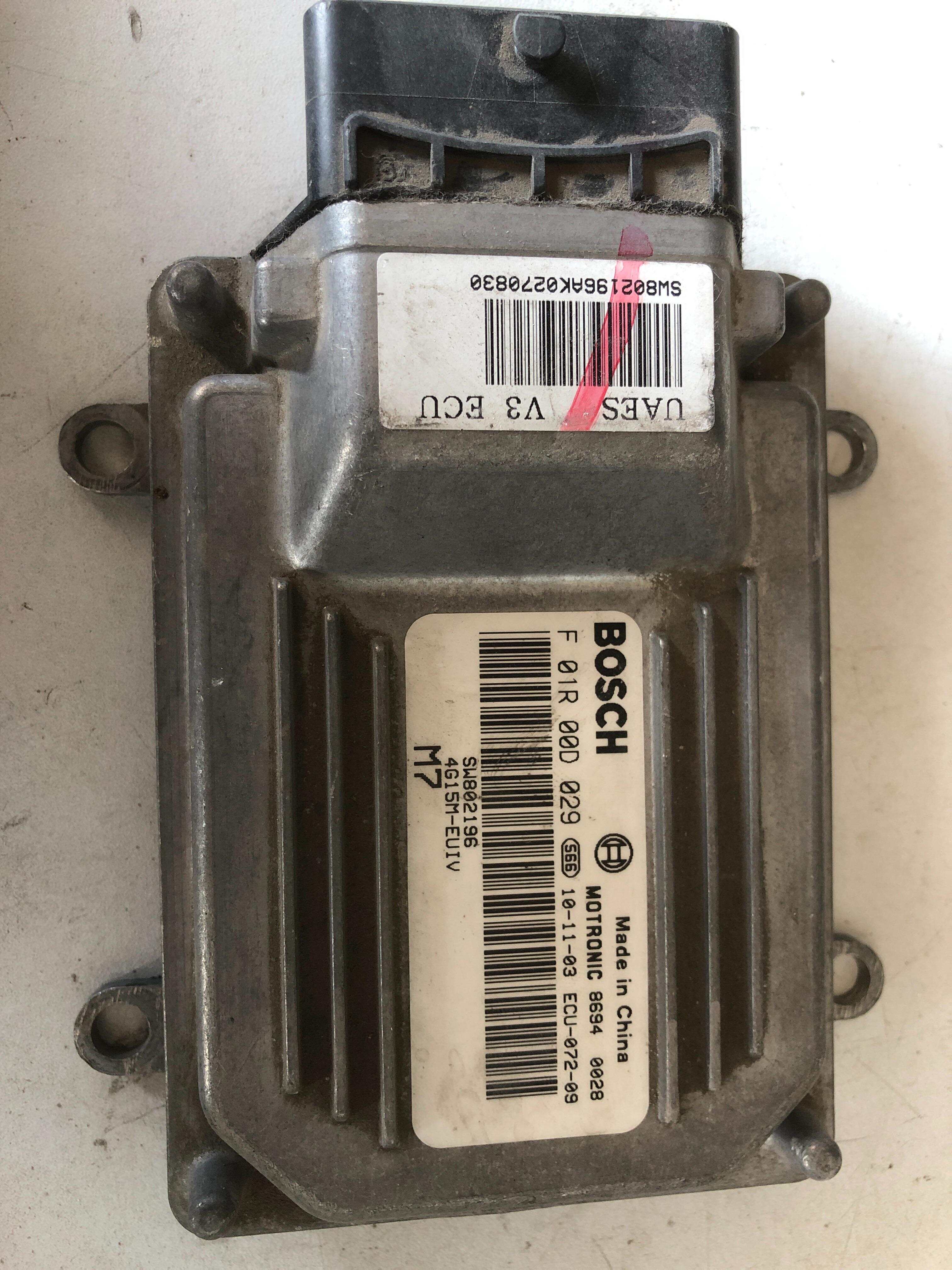 SW802196 Engine Control Unit (ECU)