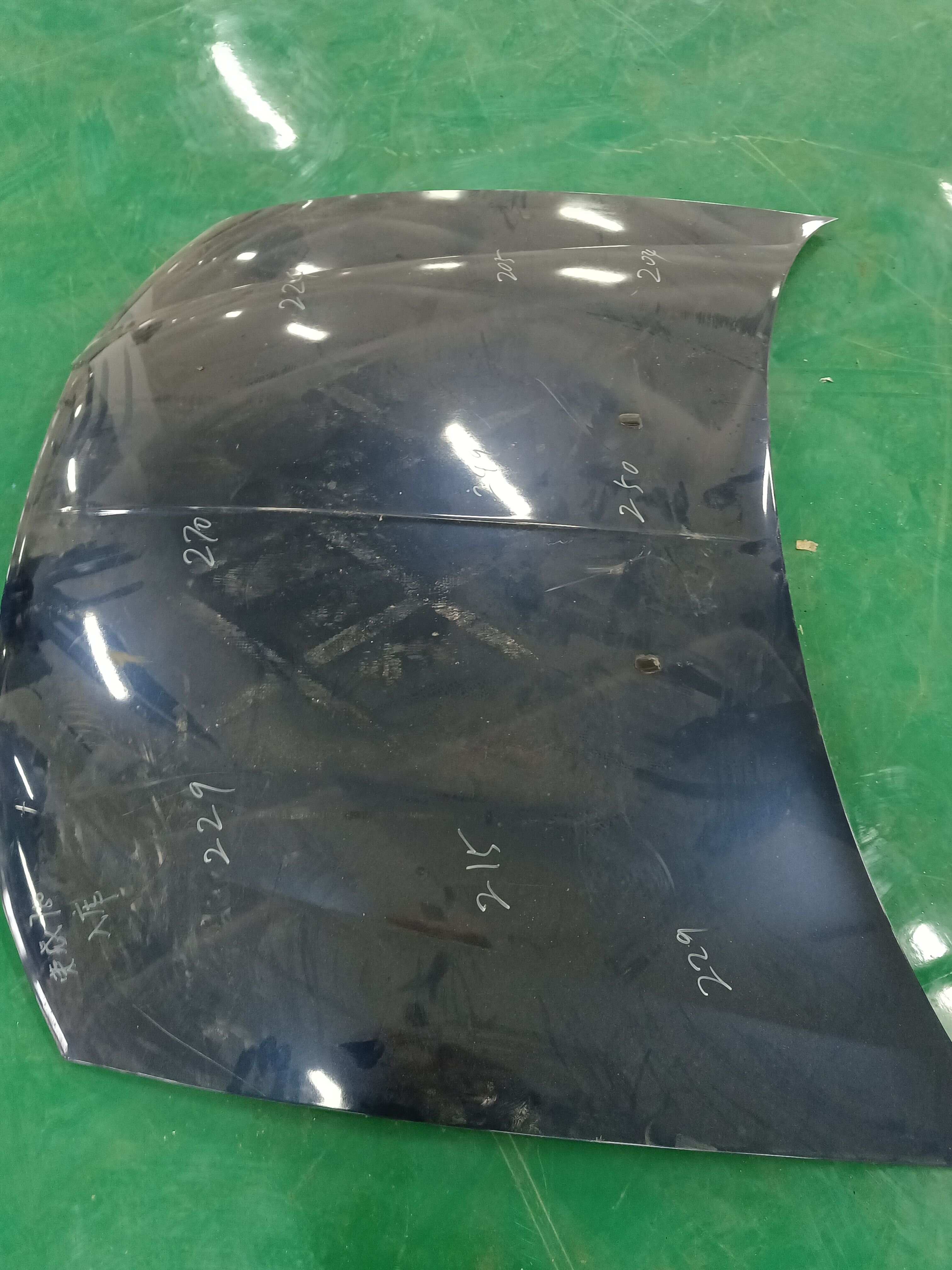 10063303 Front Hood Assembly