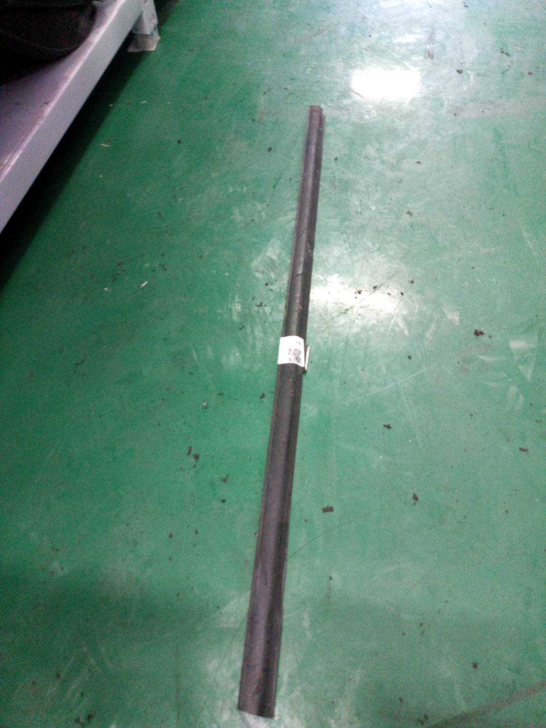 10040229 Front Door Window Molding (Left Outer)
