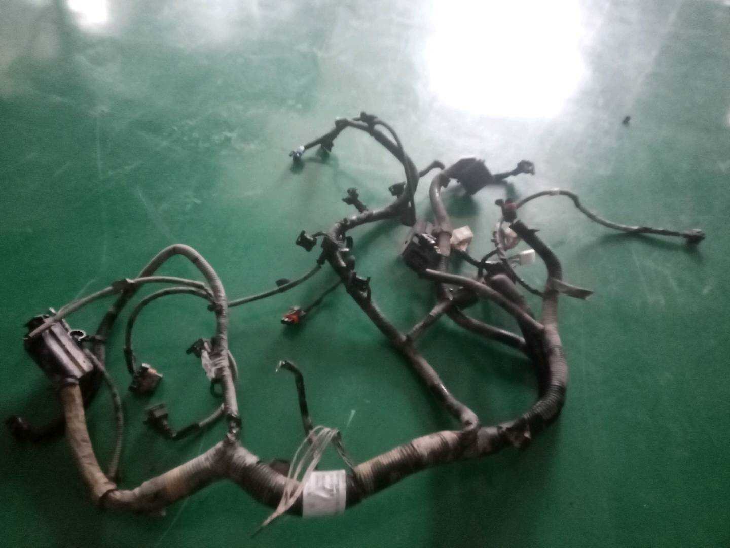 9012013 Engine Wiring Harness