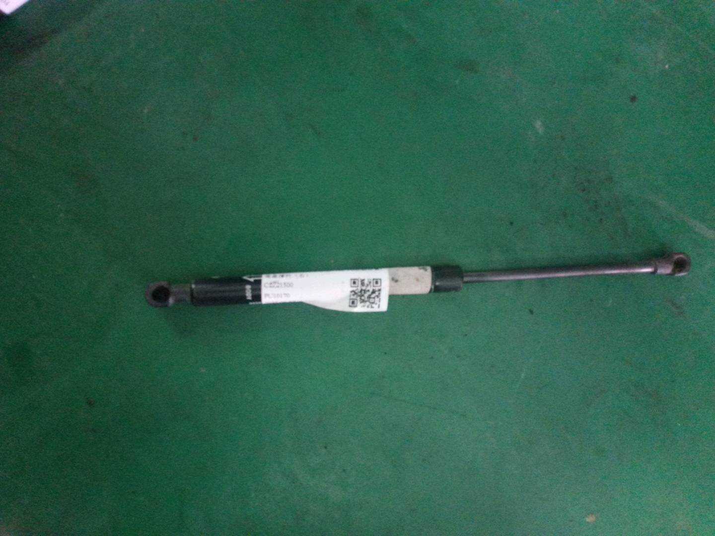 C2Z21500 Trunk Lid Strut