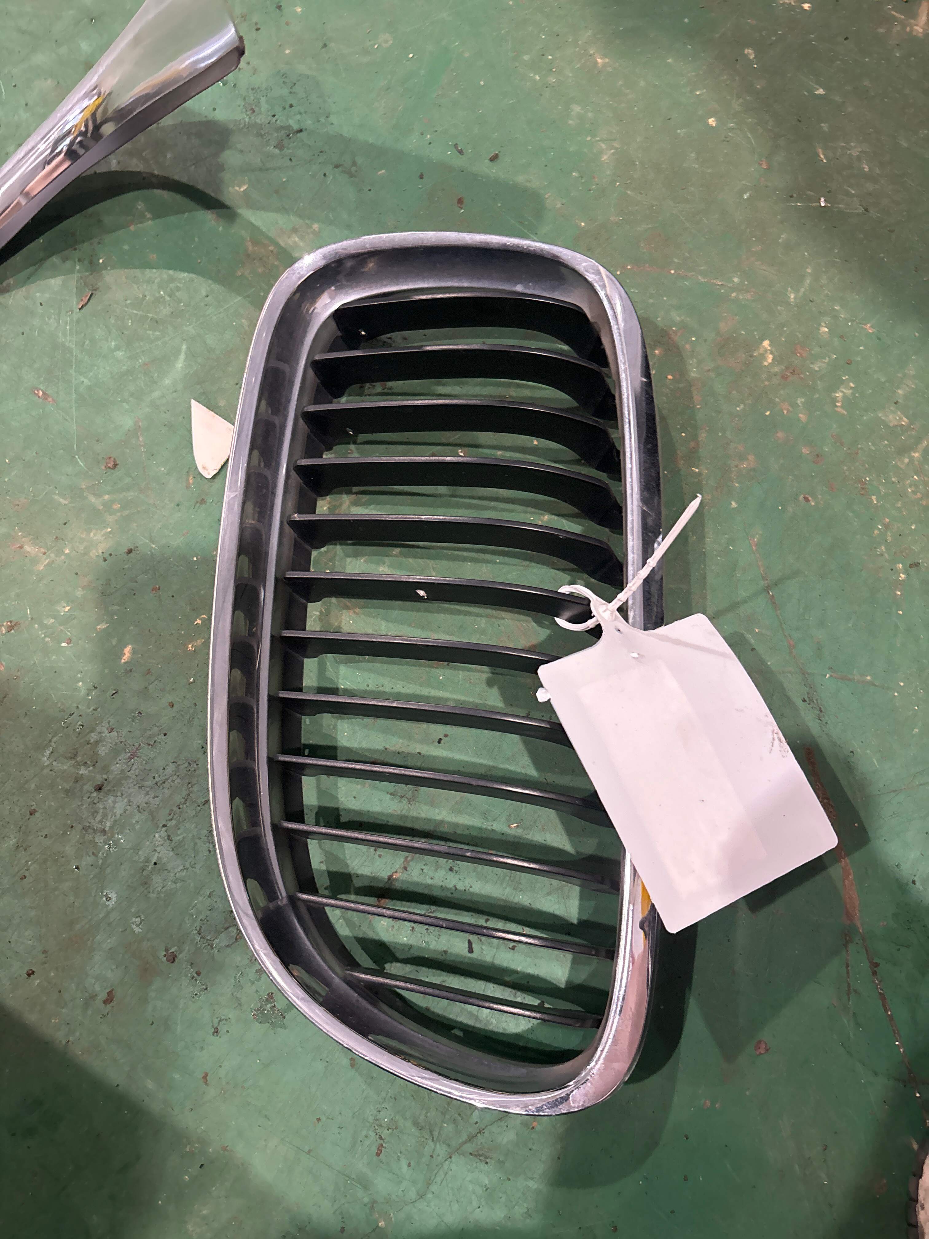 51137201969 Front Grille, Left