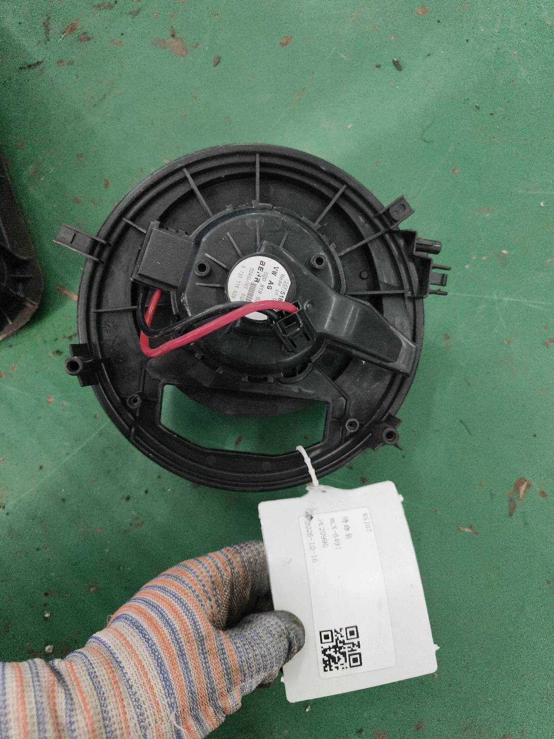 5QD819021A 鼓风机马达
