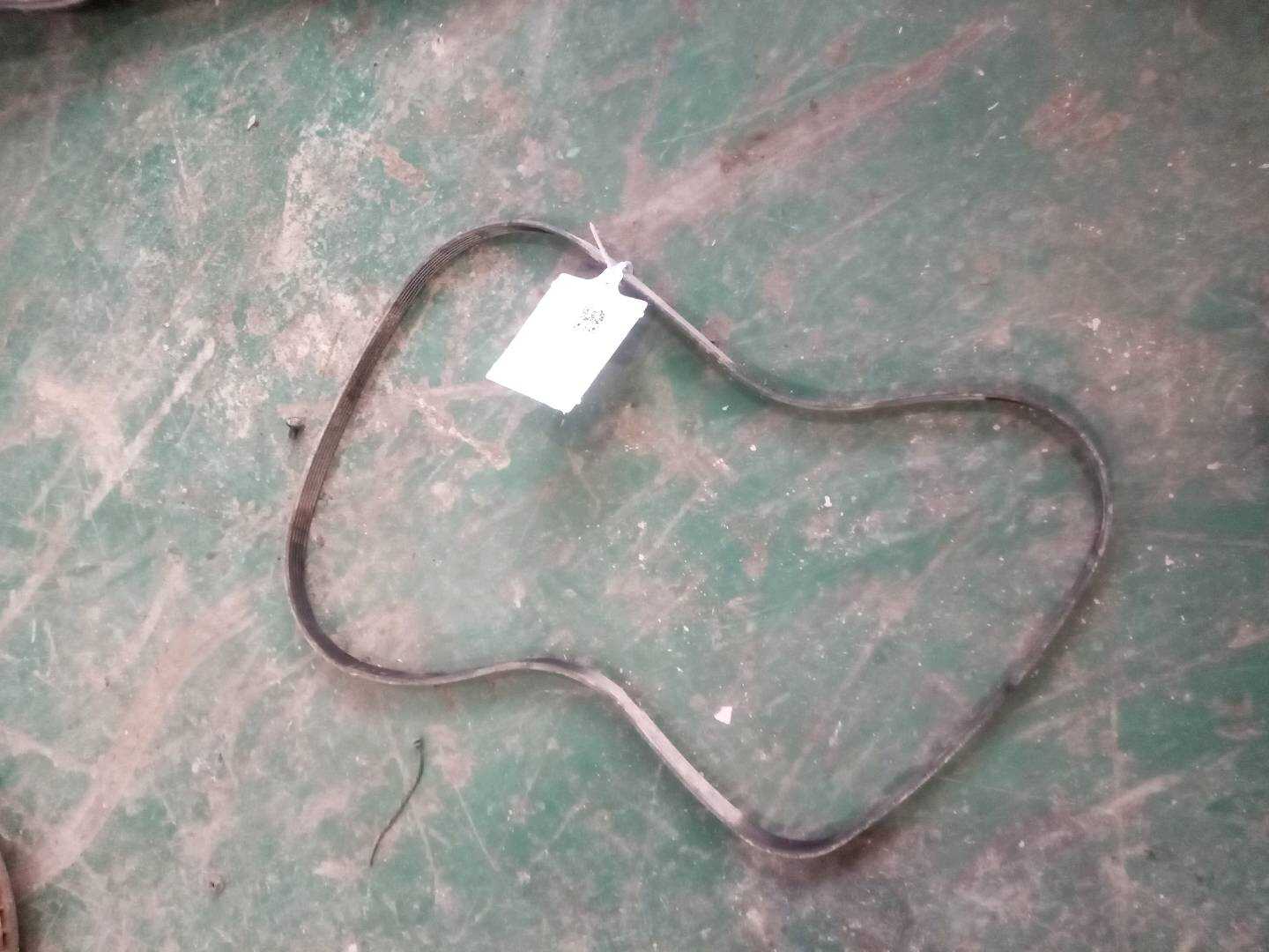 11288573252 发电机皮带