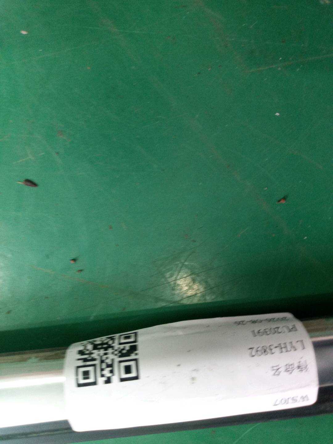51339451528 前门玻璃压条（右外）