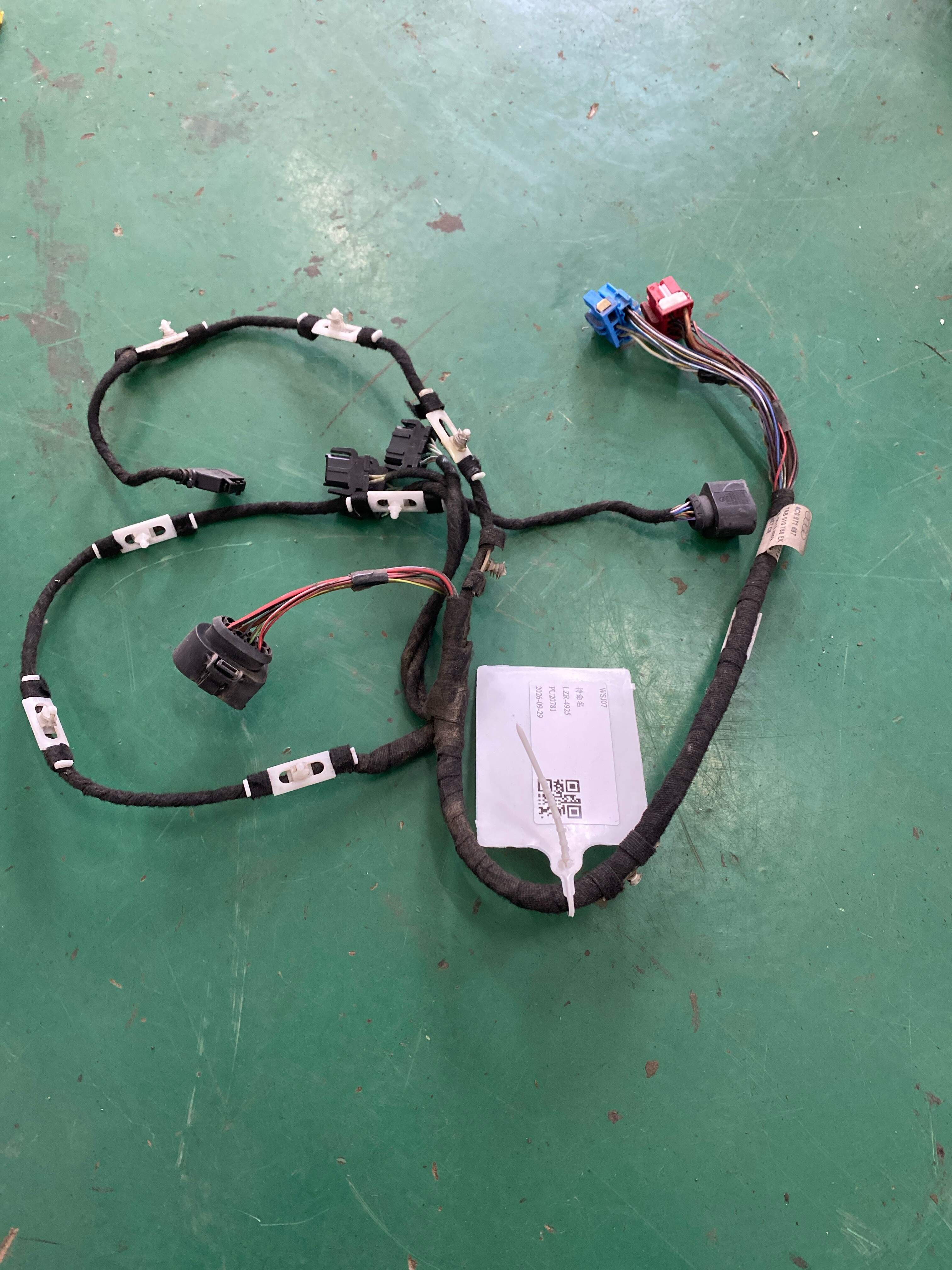L4C0971687 后门线束(右)