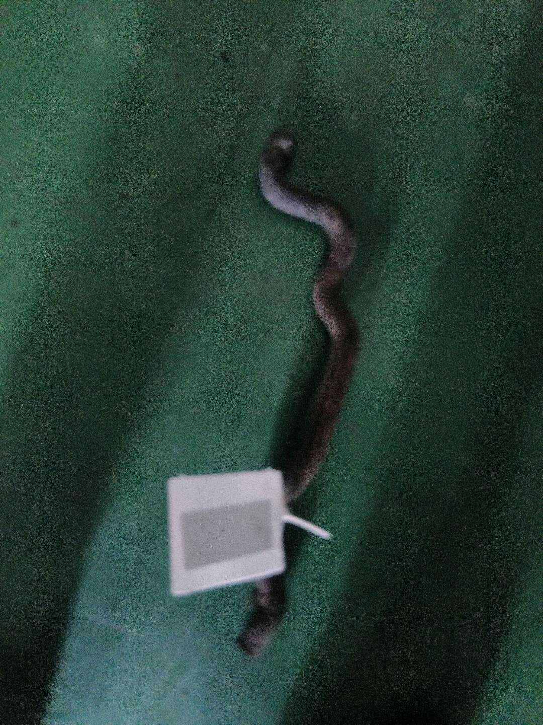 64539119168 暖风出水管