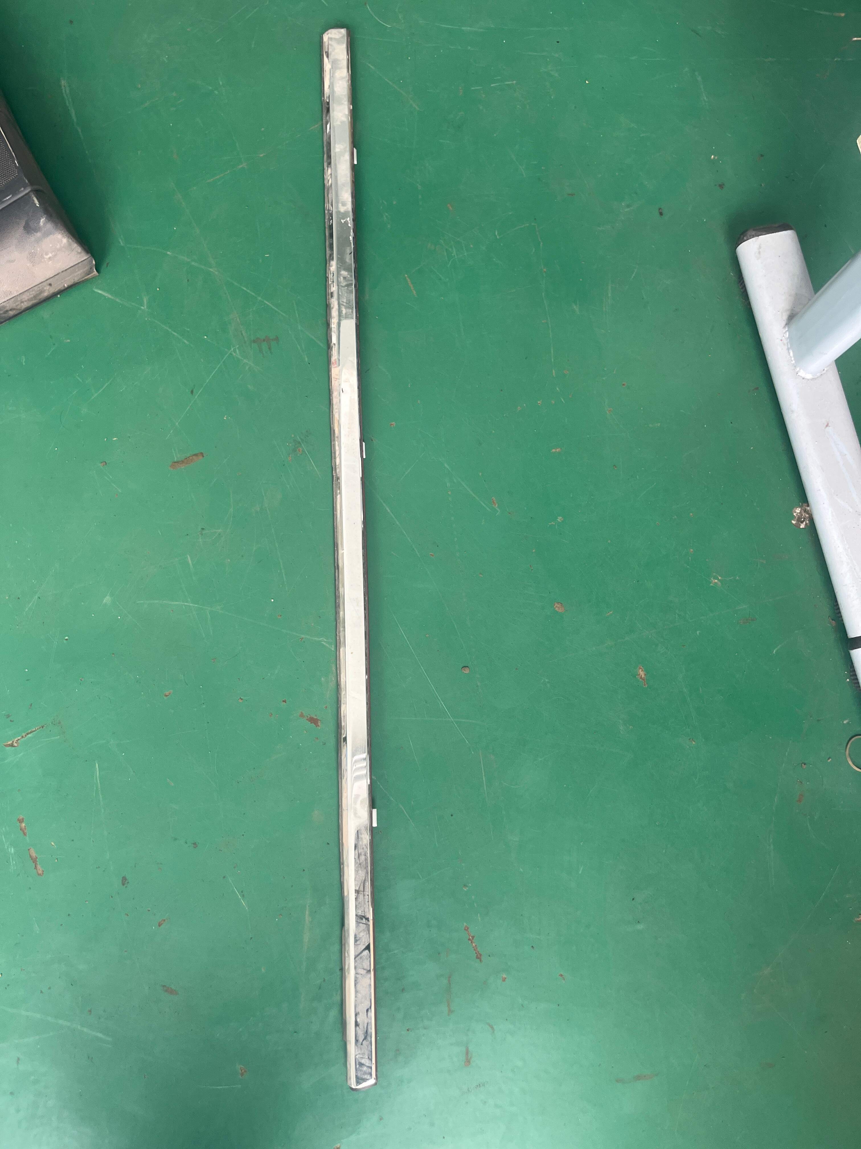 50011821 Rear Door Belt Weatherstrip Outer