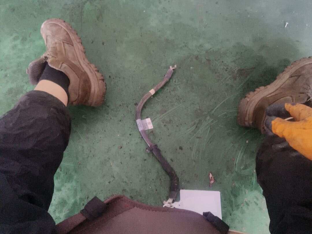T4A13938 Ground Wire