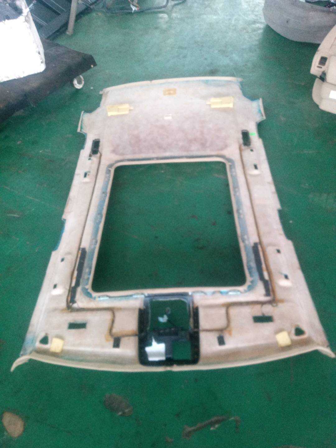 51449123921 Roof Headliner
