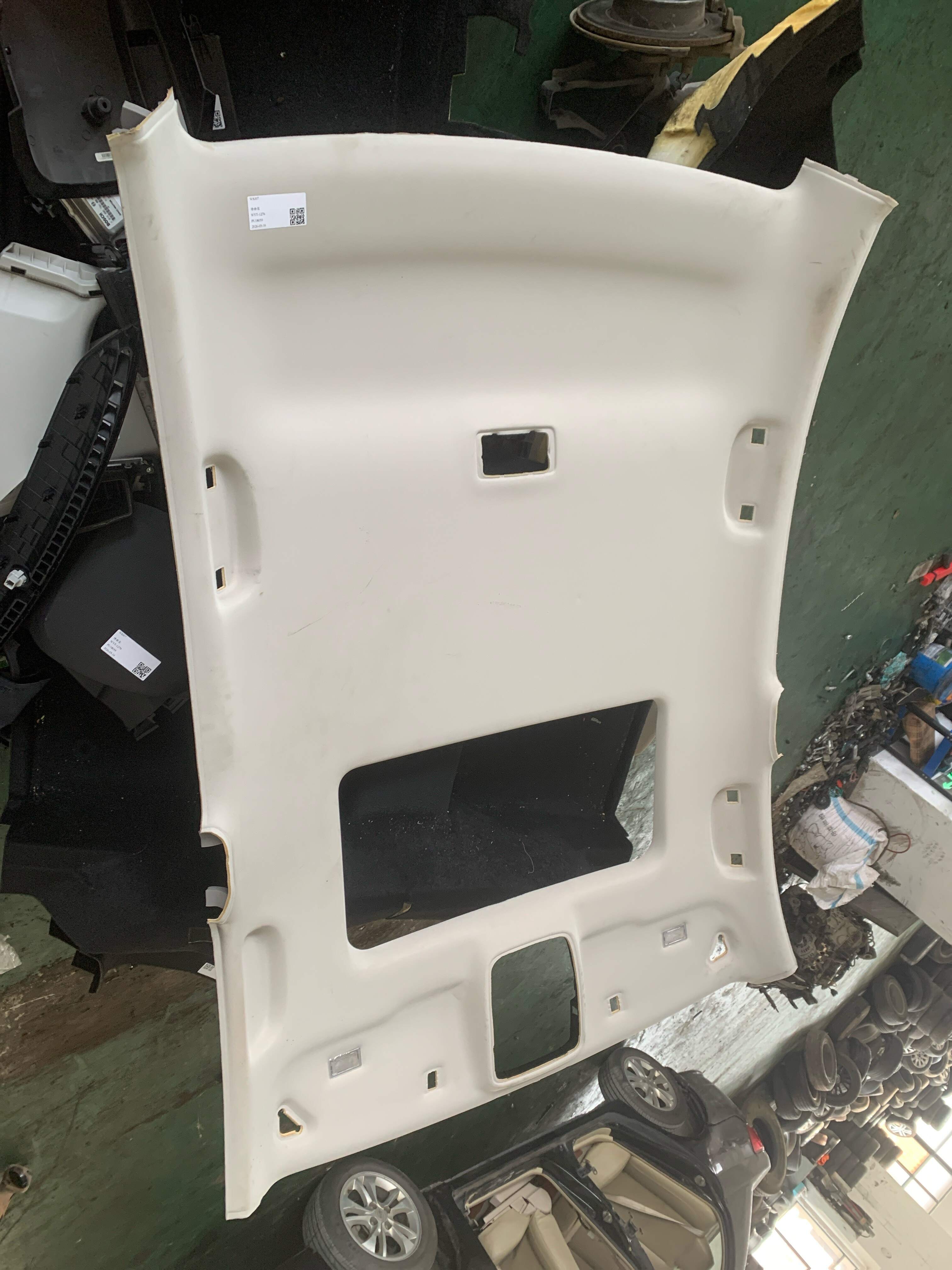 10728396AMM Roof Headliner