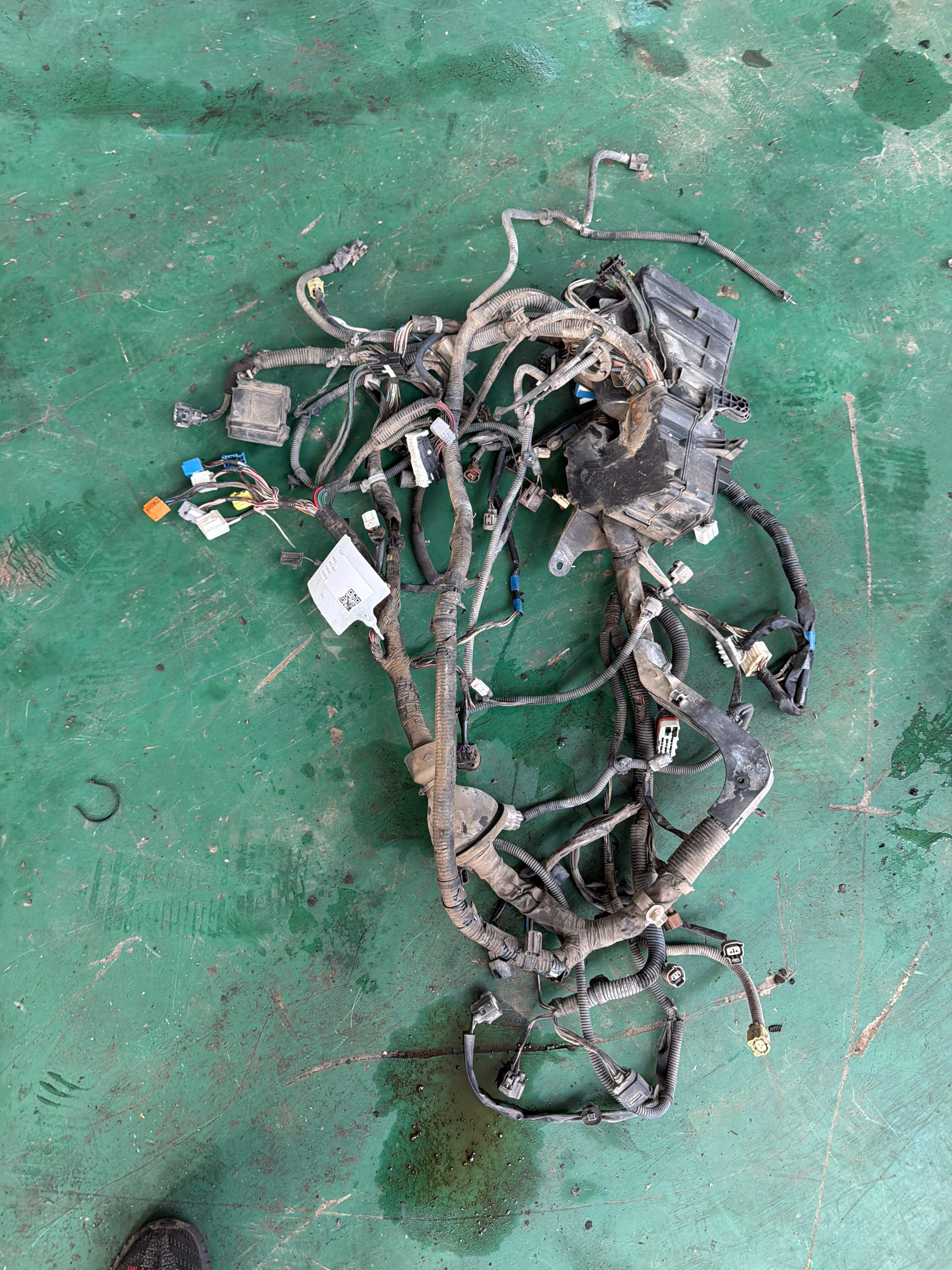 821613Y800 车身线束