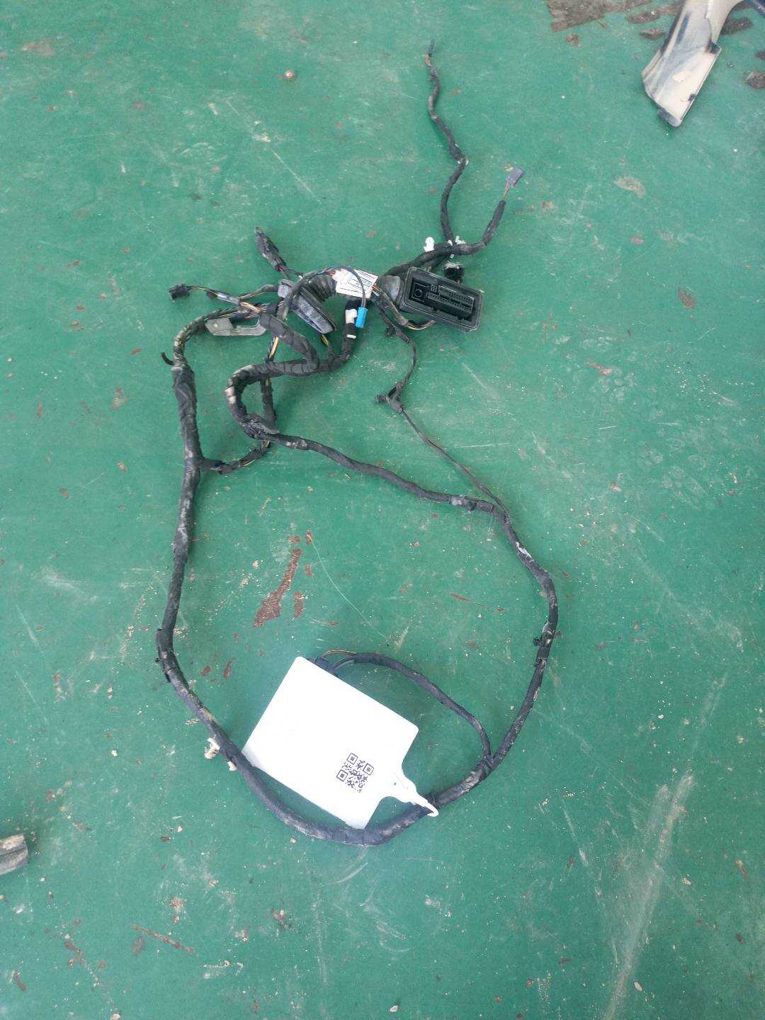 61129325901 前门线束(右)