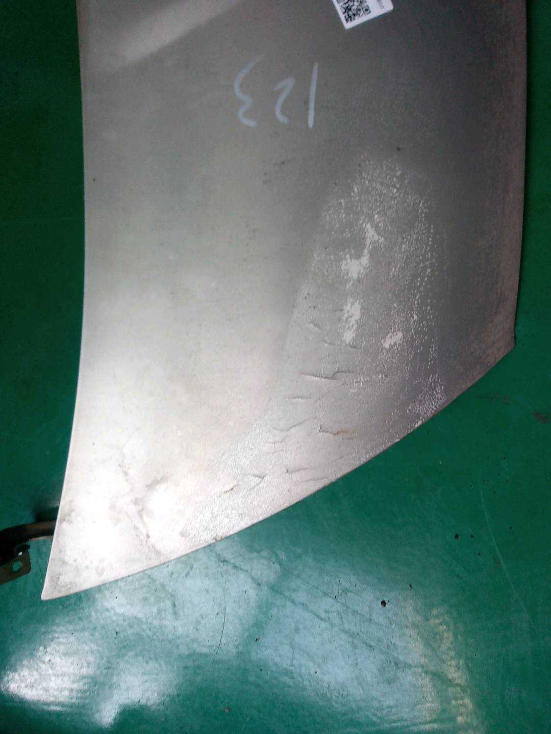 9025725P Front Hood Assembly