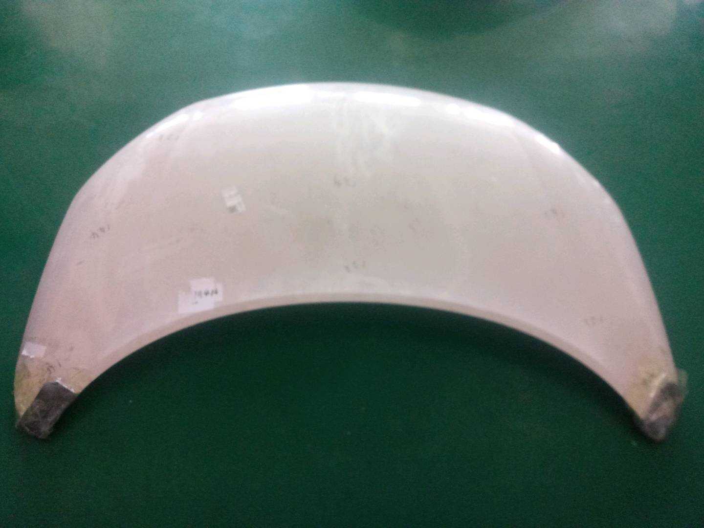 10059980SPCP 前机盖总成