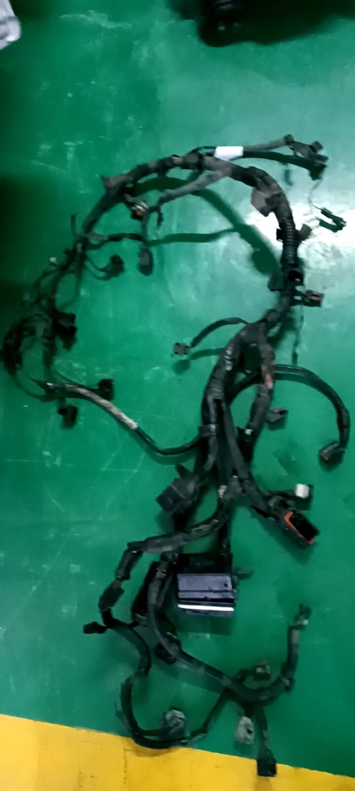 202505291345XFL26 发动机线束