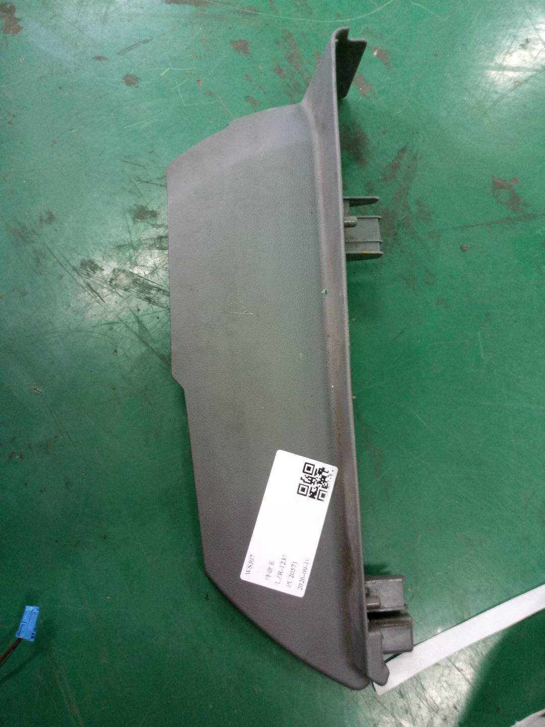 A22191012547G50 Protective Cover