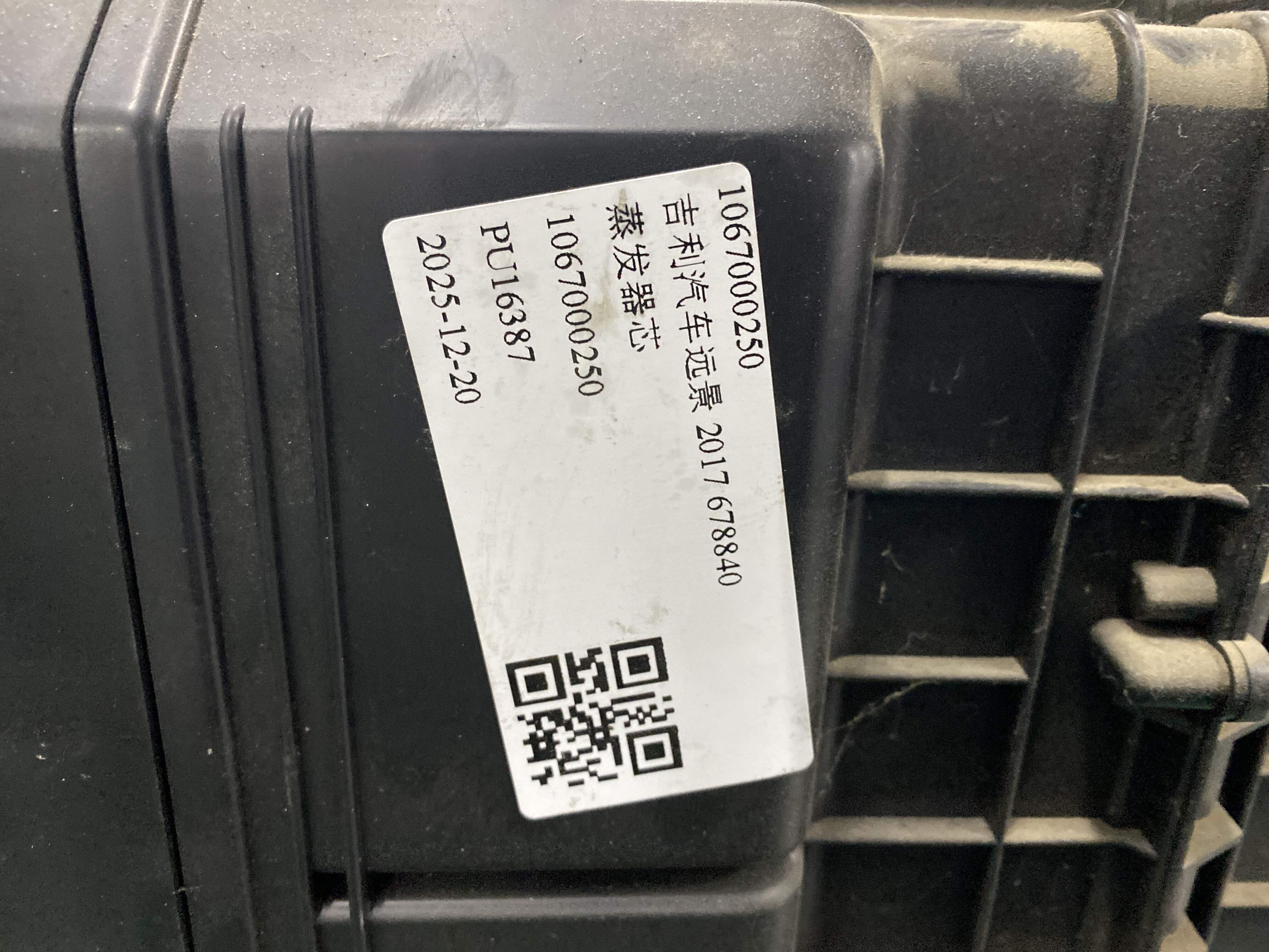 1067000250 蒸发器芯