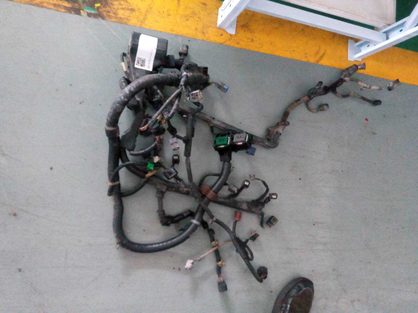 32110R40Y50 发动机线束