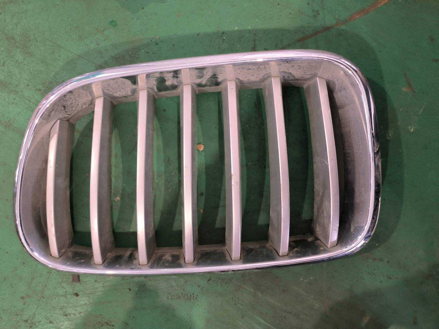 51117237421 Front Grille, Left