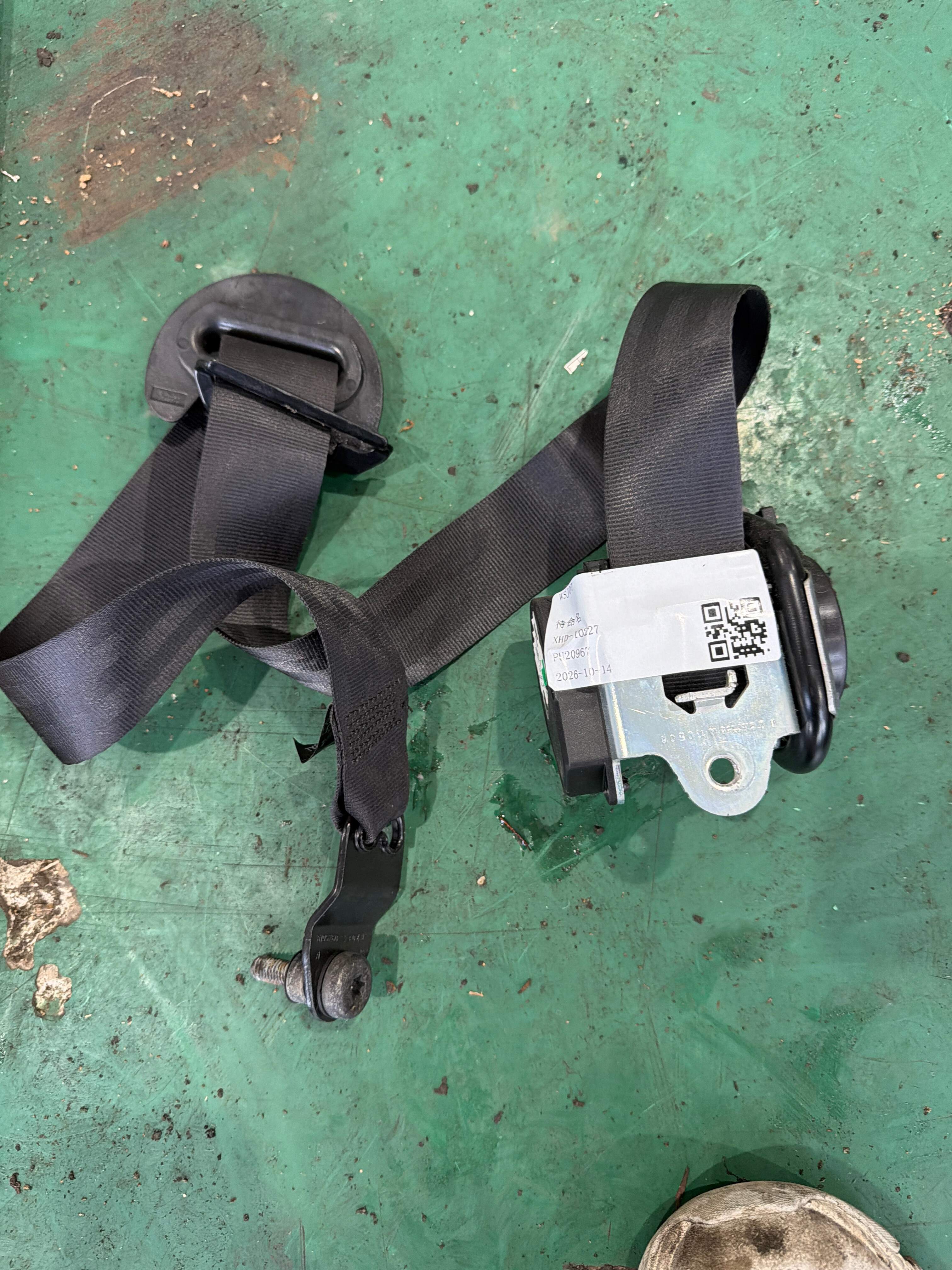 LR026436 Passenger Seat Belt