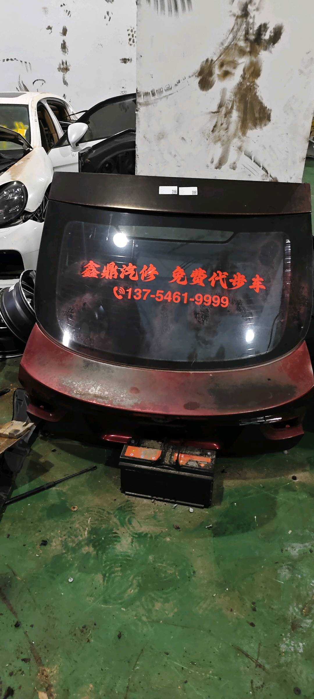 41627262676 尾盖