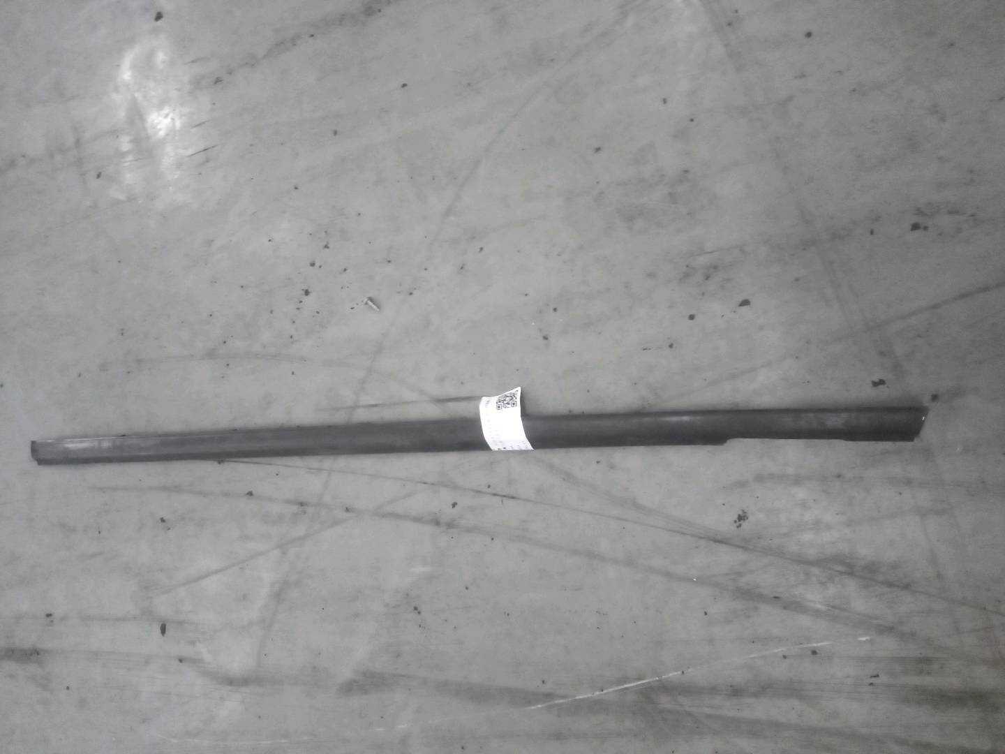 10041344 Rear Door Window Molding (Right Outer)