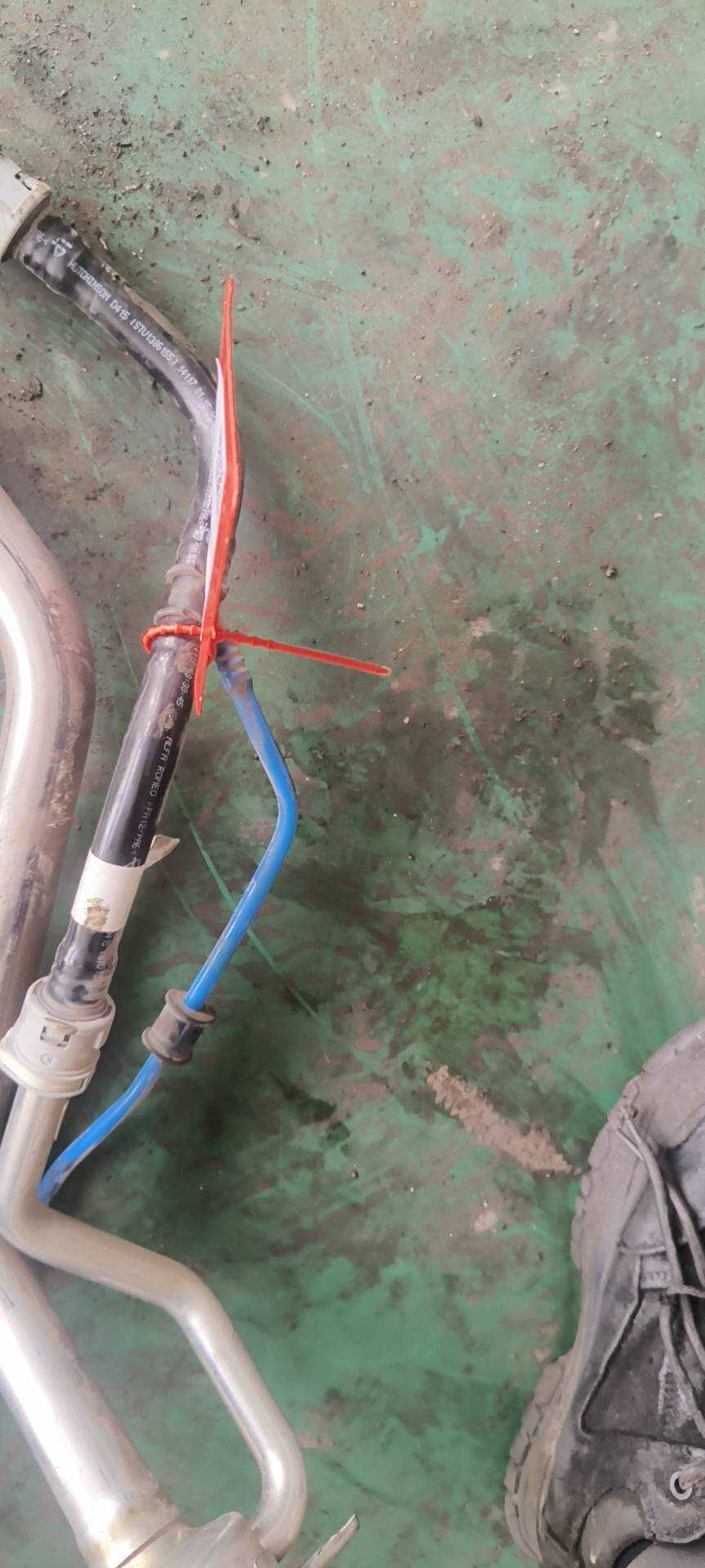 50544492 Hose