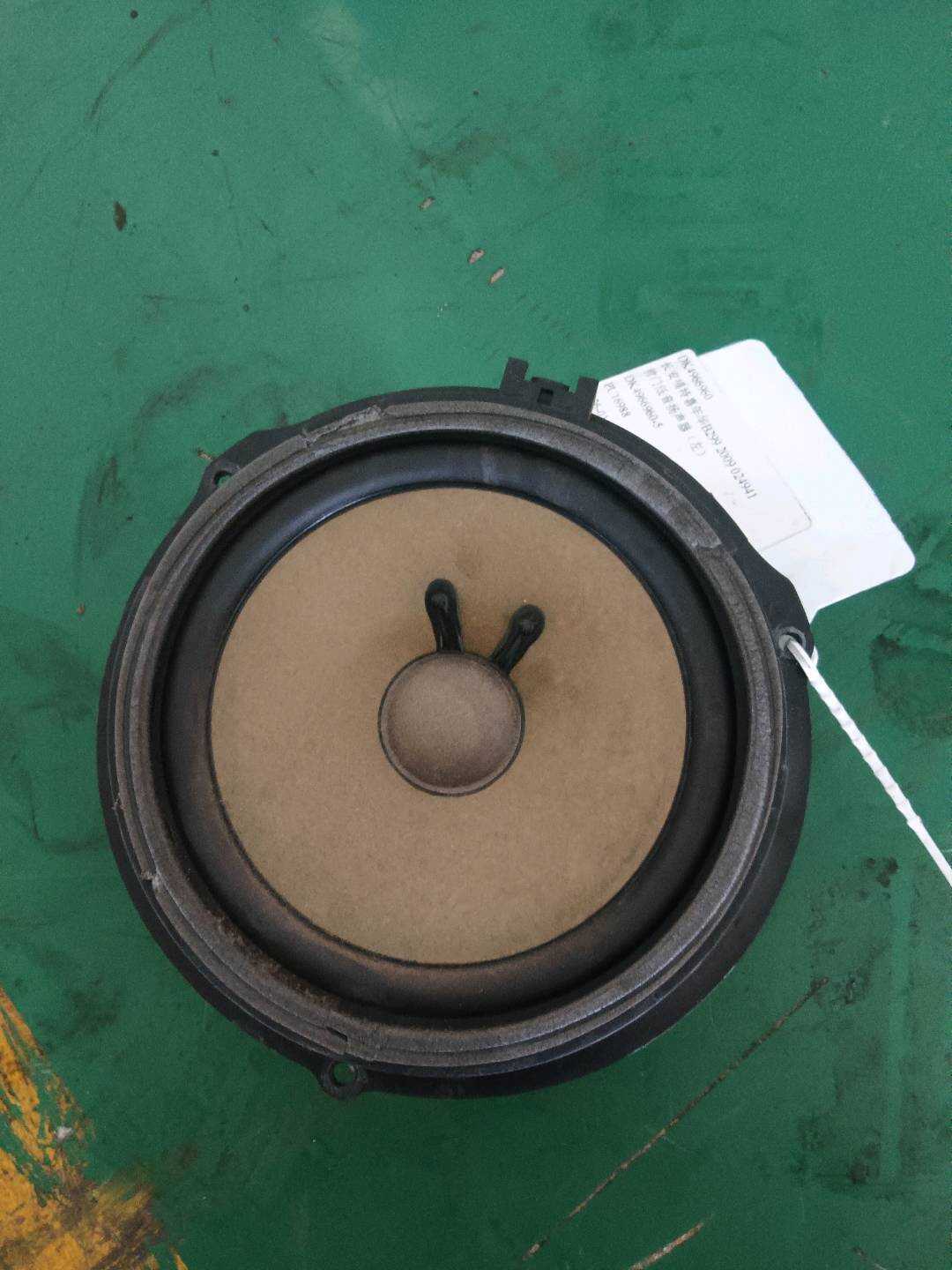 DK4966960 前门低音扬声器(左)