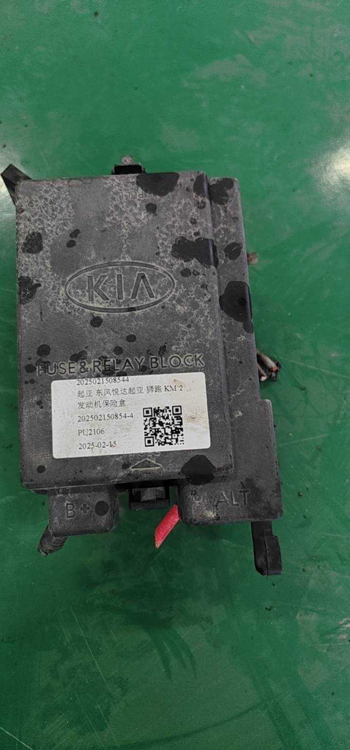2025021508544 发动机保险盒