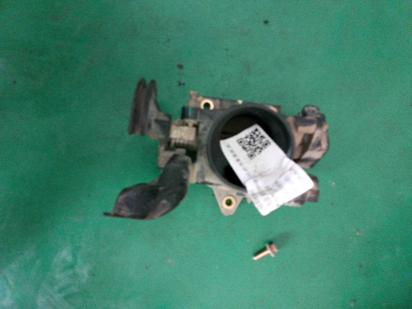 1013385900 Throttle Body Assembly