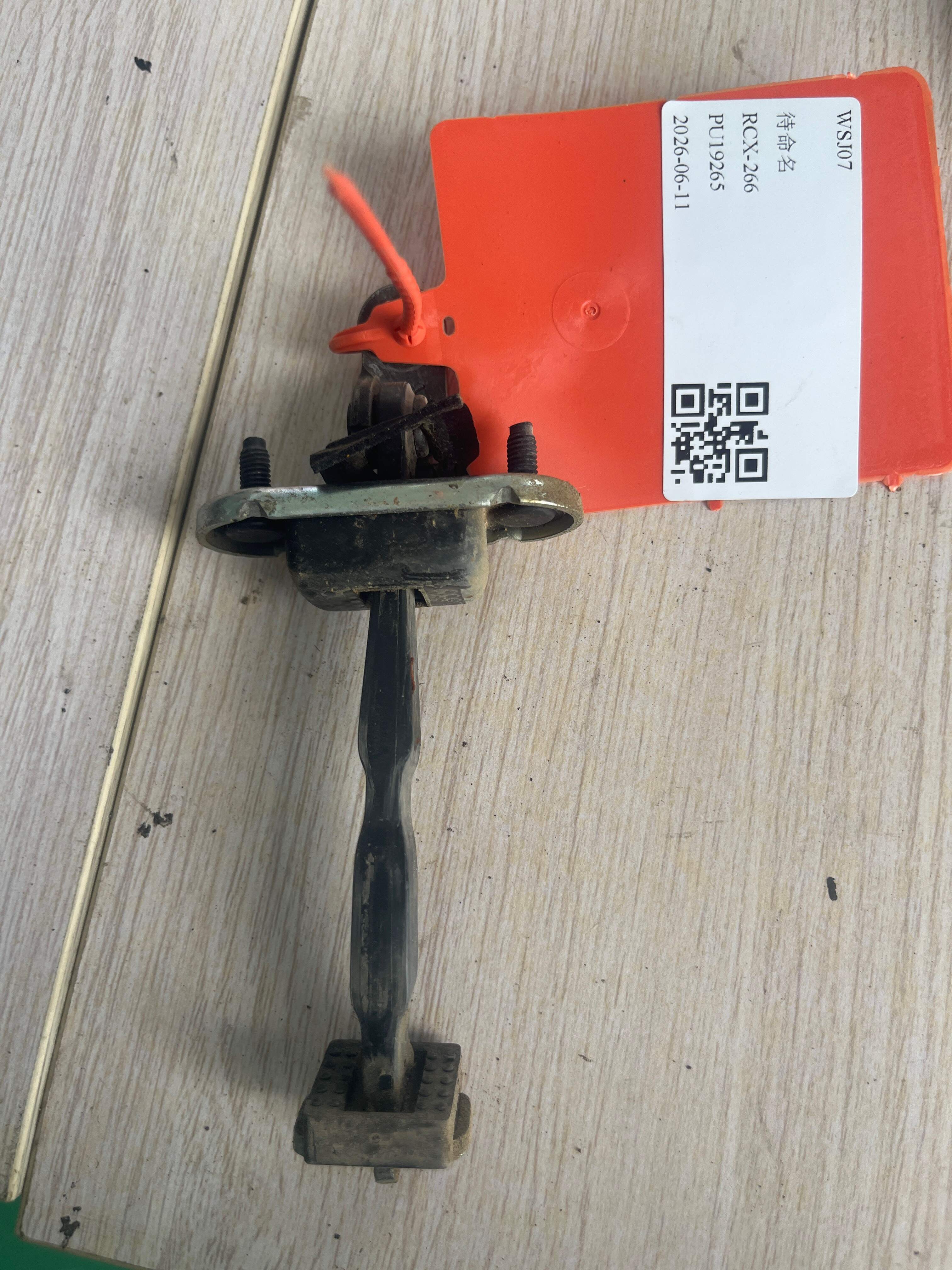 10095118 Rear Door Check Strap Assembly