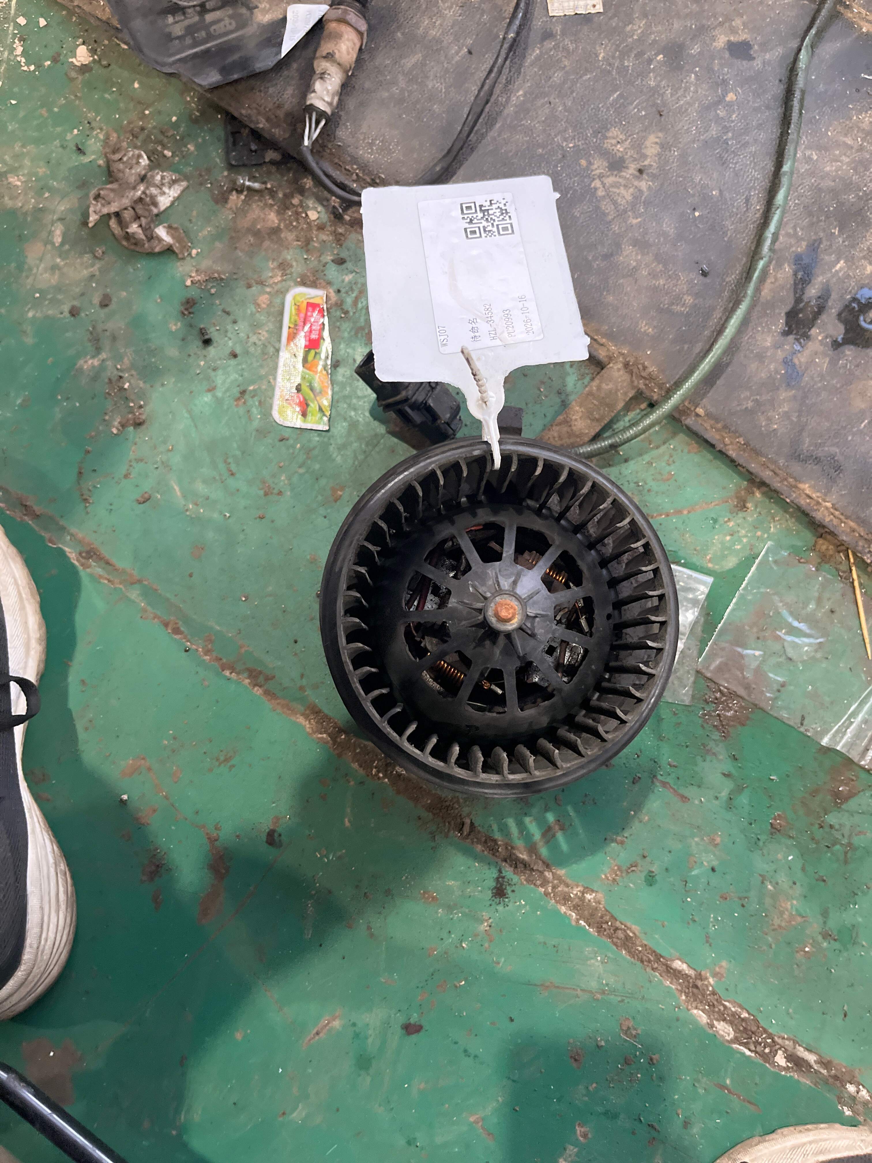 7H0819021 Blower Motor, Rear