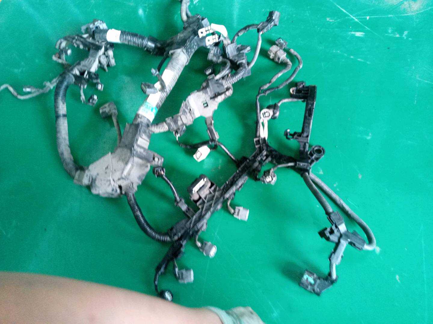 321106N1B70 发动机线束