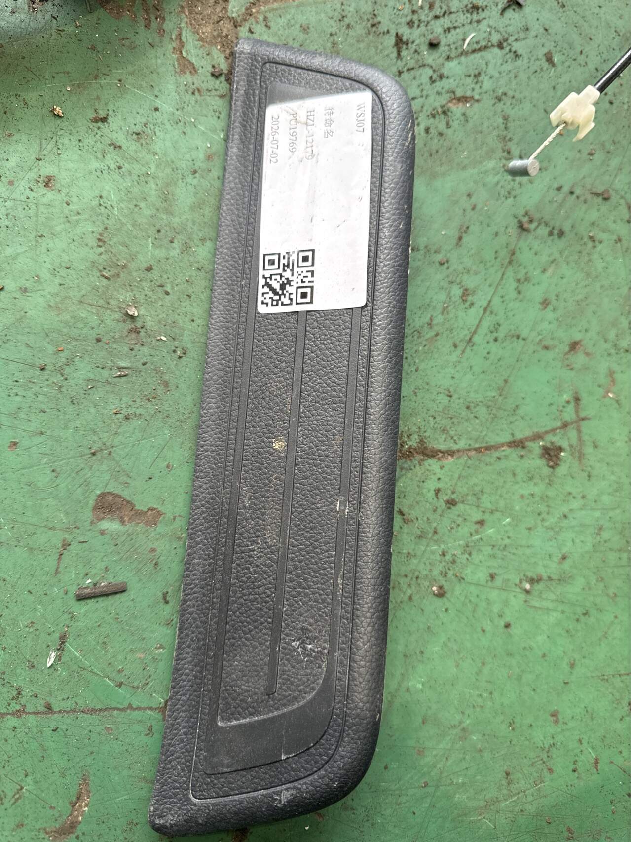 85878B3000RYN 后门槛迎宾踏板(左)