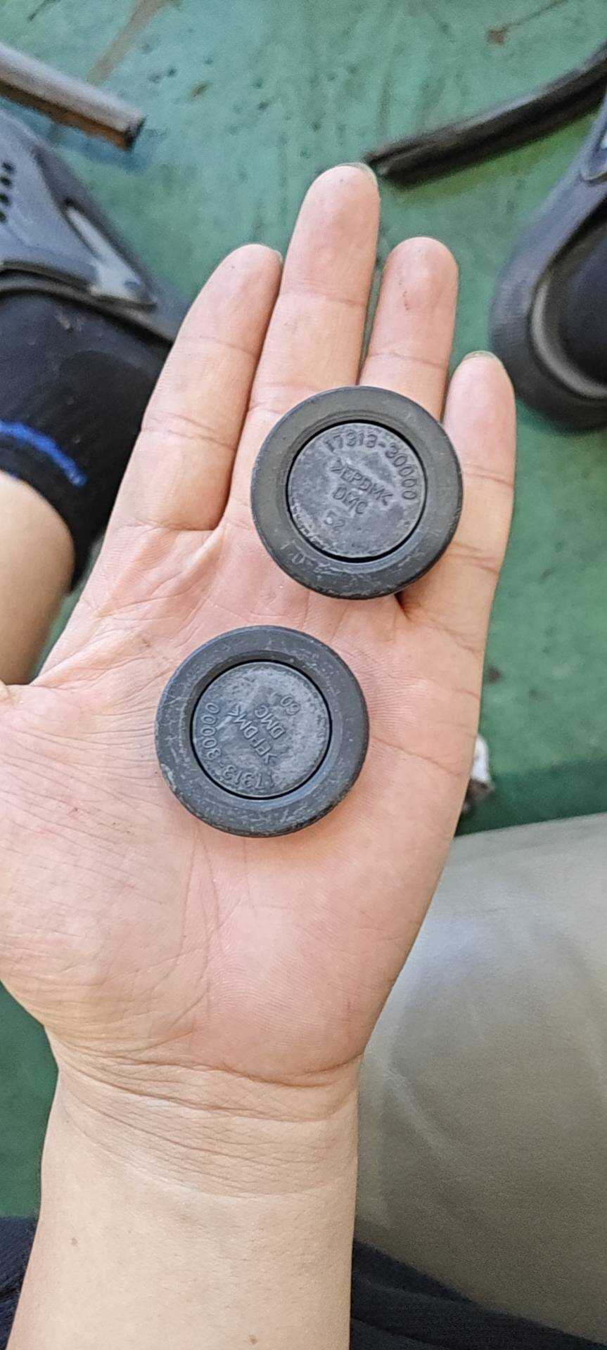 1731330000 Sealing Plug