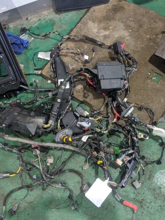 T4N9717 发动机仓线束