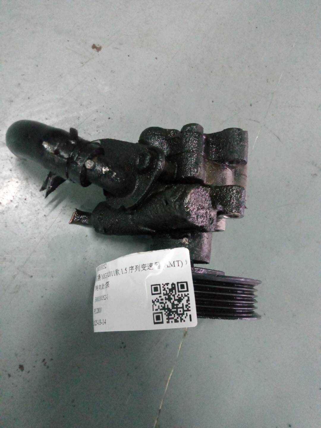 30010052 转向助力泵