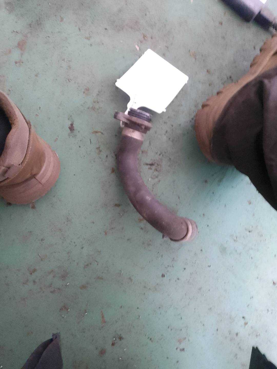 11537603514 水管(节温器到发动机)