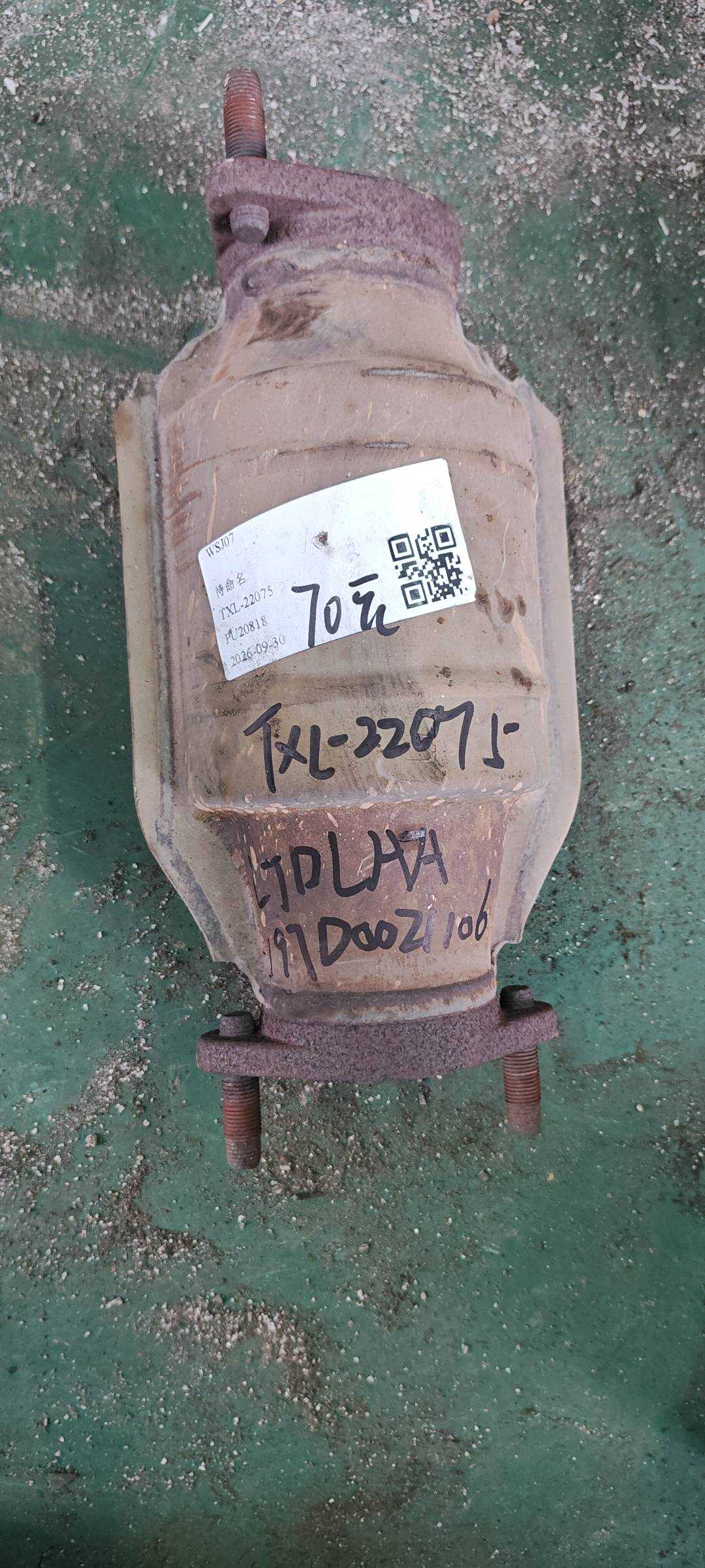 289502BCD0 Three-Way Catalytic Converter, Rear
