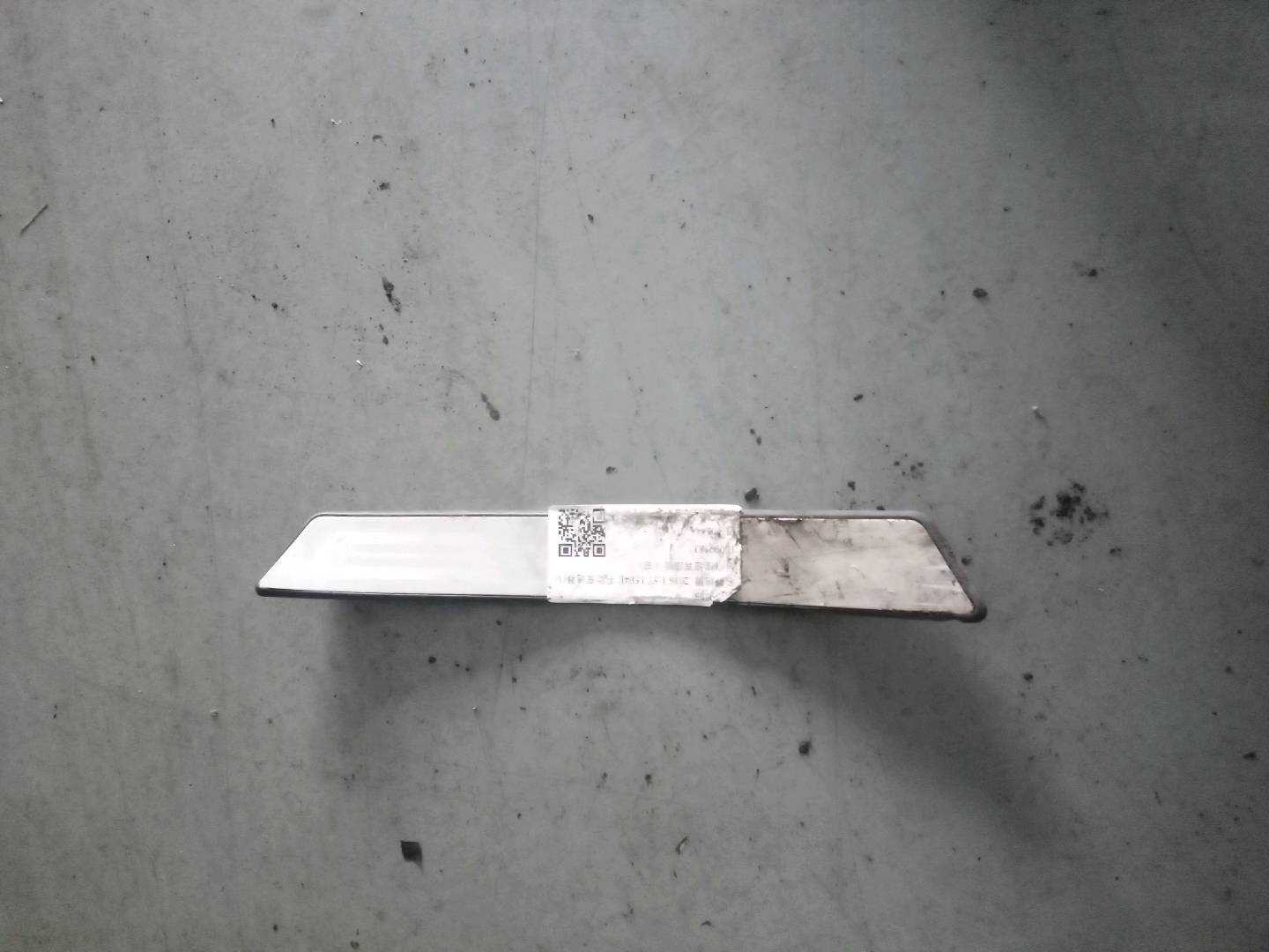 10099583 Rear Door Sill Scuff Plate, Right