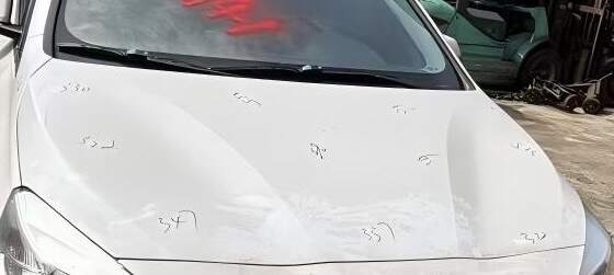 41007382200 Front Hood