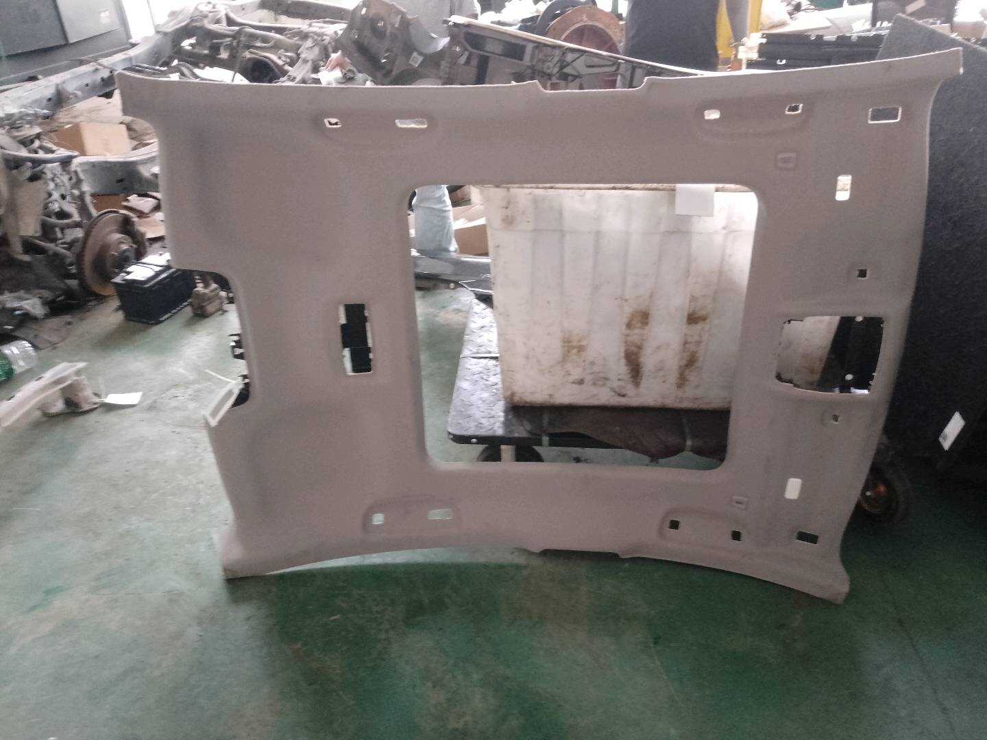 51447411981 Roof Headliner