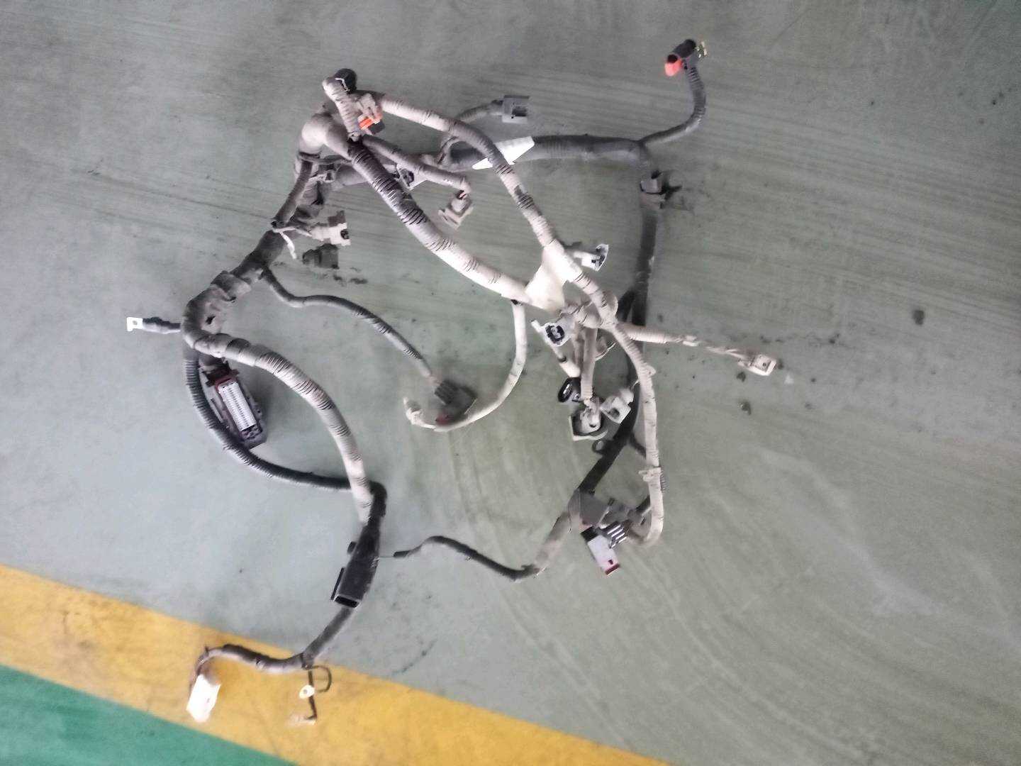 10081851 Engine Wiring Harness
