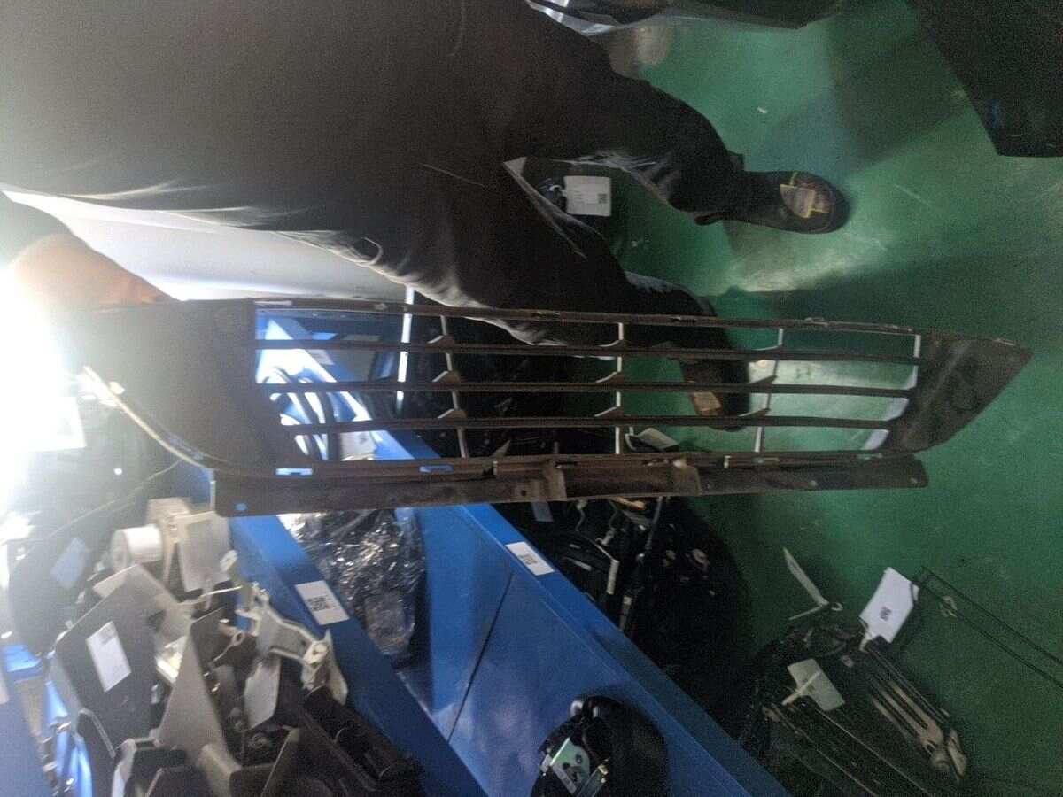 51117301566 前保险杠格栅（中）