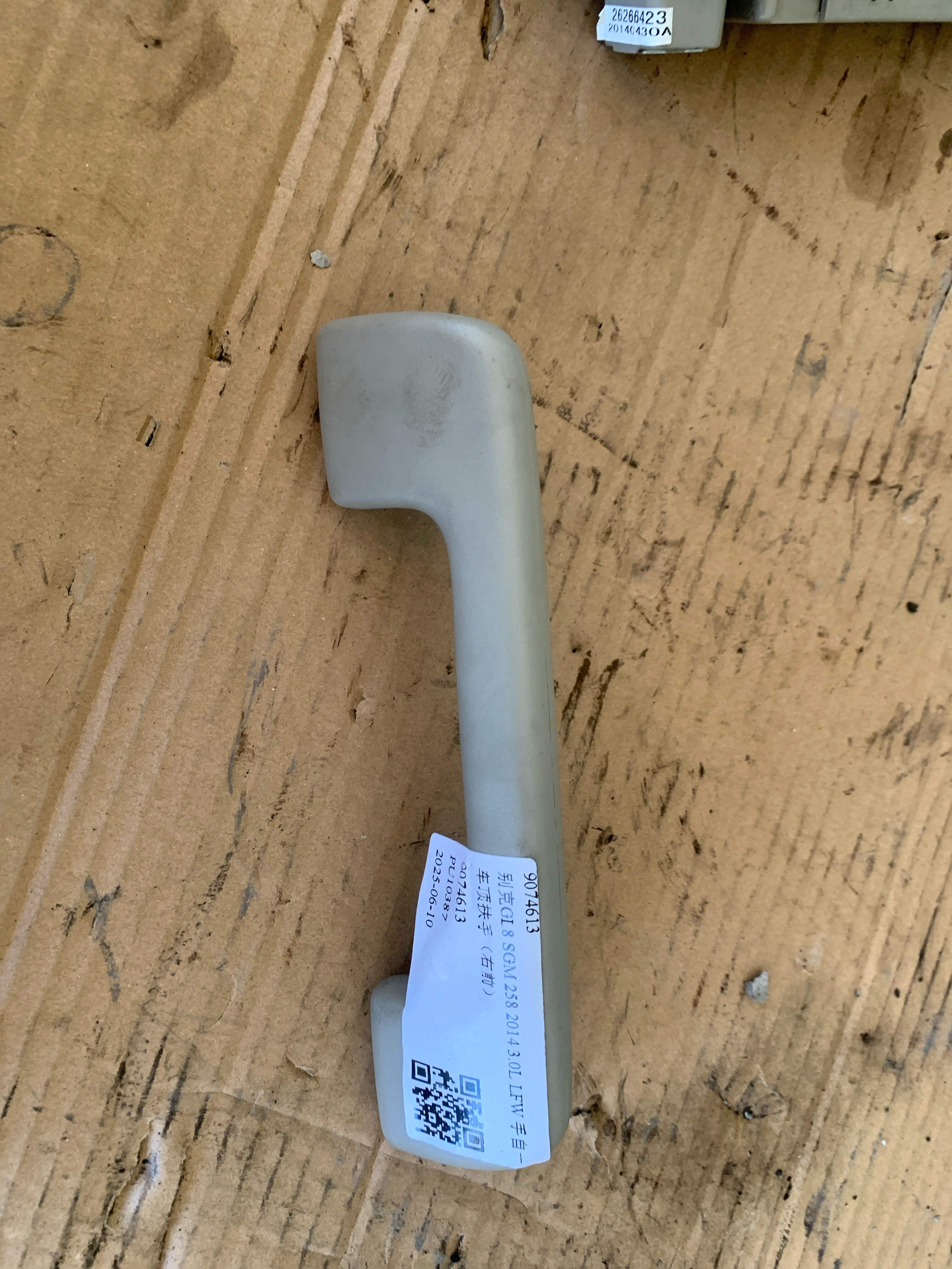9074613 Roof Grab Handle, Front Right