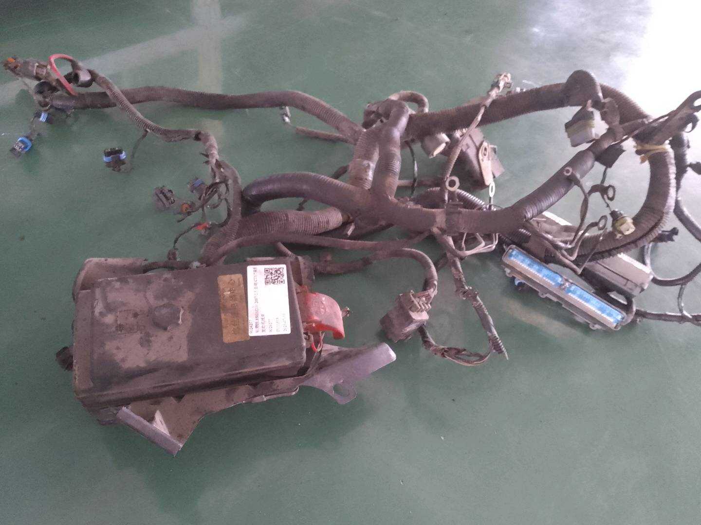 9024277 Engine Wiring Harness