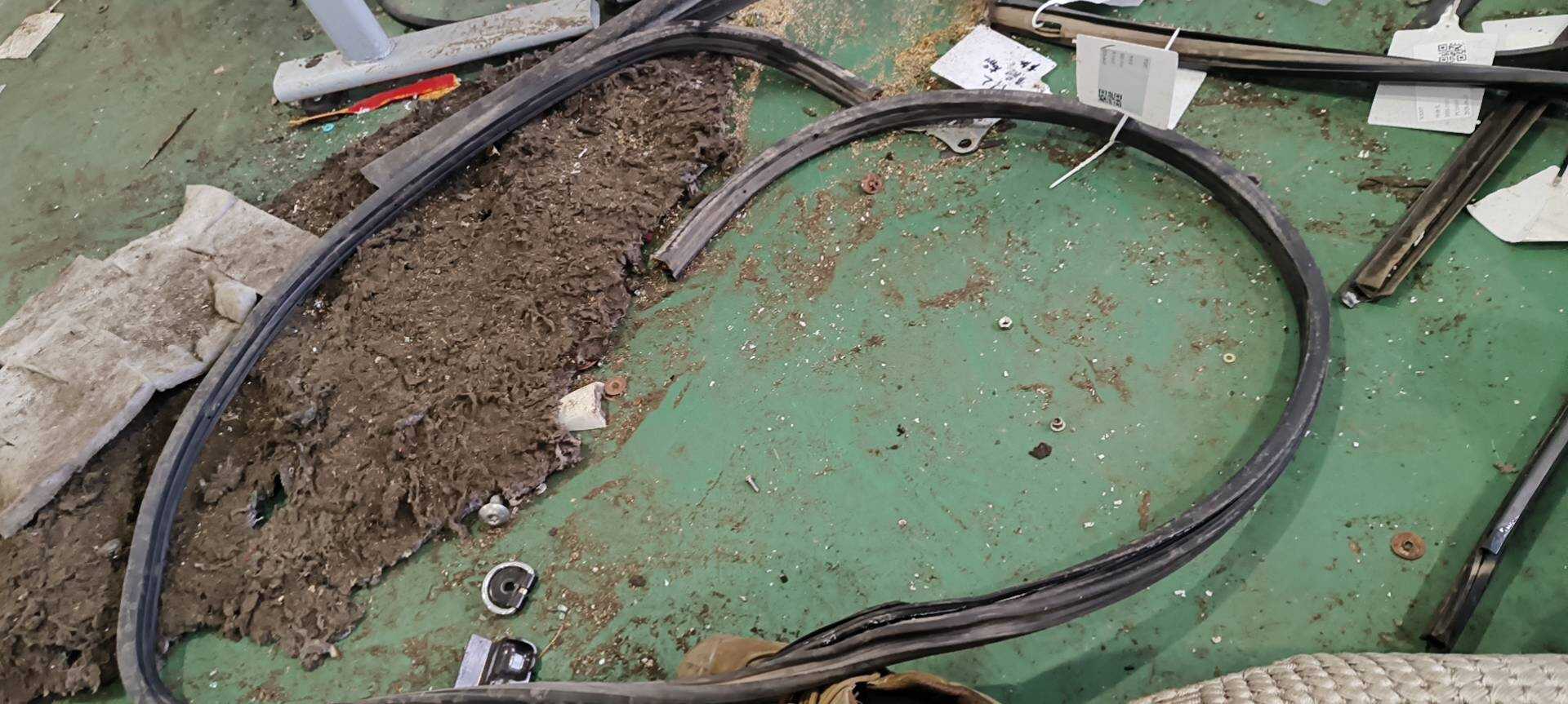 323867367 Rear Door Body Seal Strip, Left