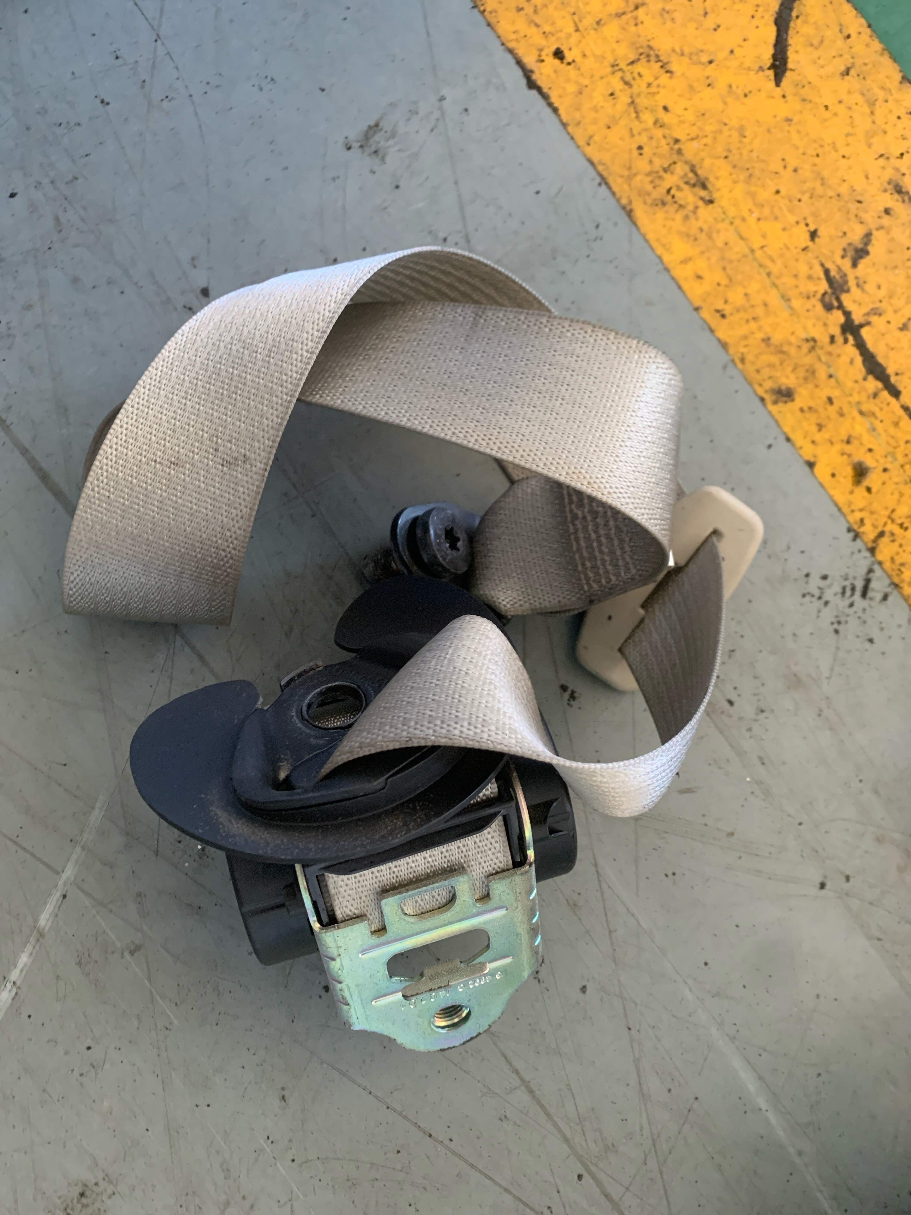 9074849 Rear Seat Side Seat Belt, Left
