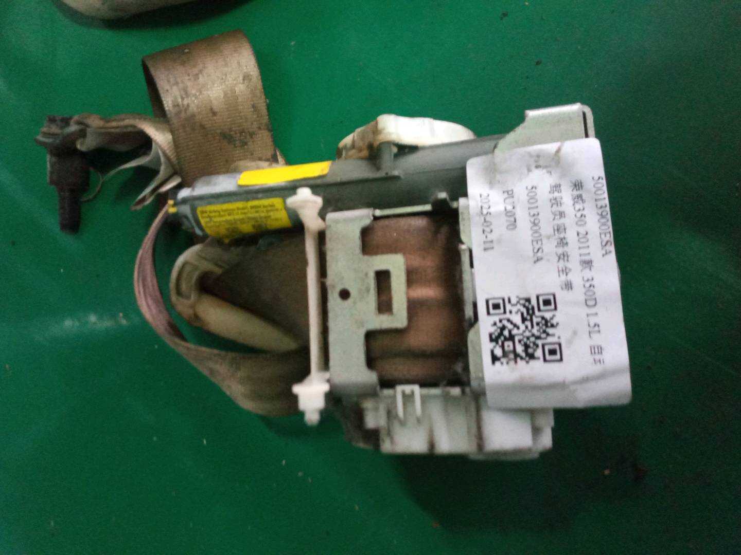 50013900ESA Driver Seat Belt